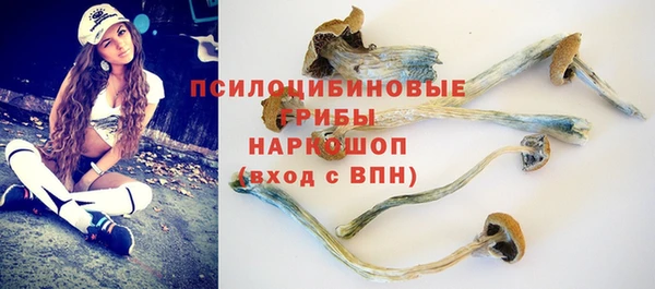 ALPHA PVP Алзамай